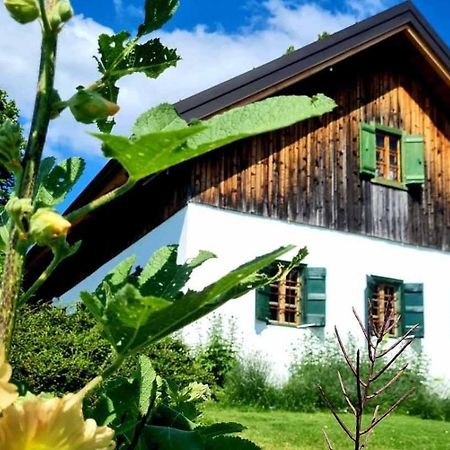Hostal Estate Ana Ptuj Exterior foto