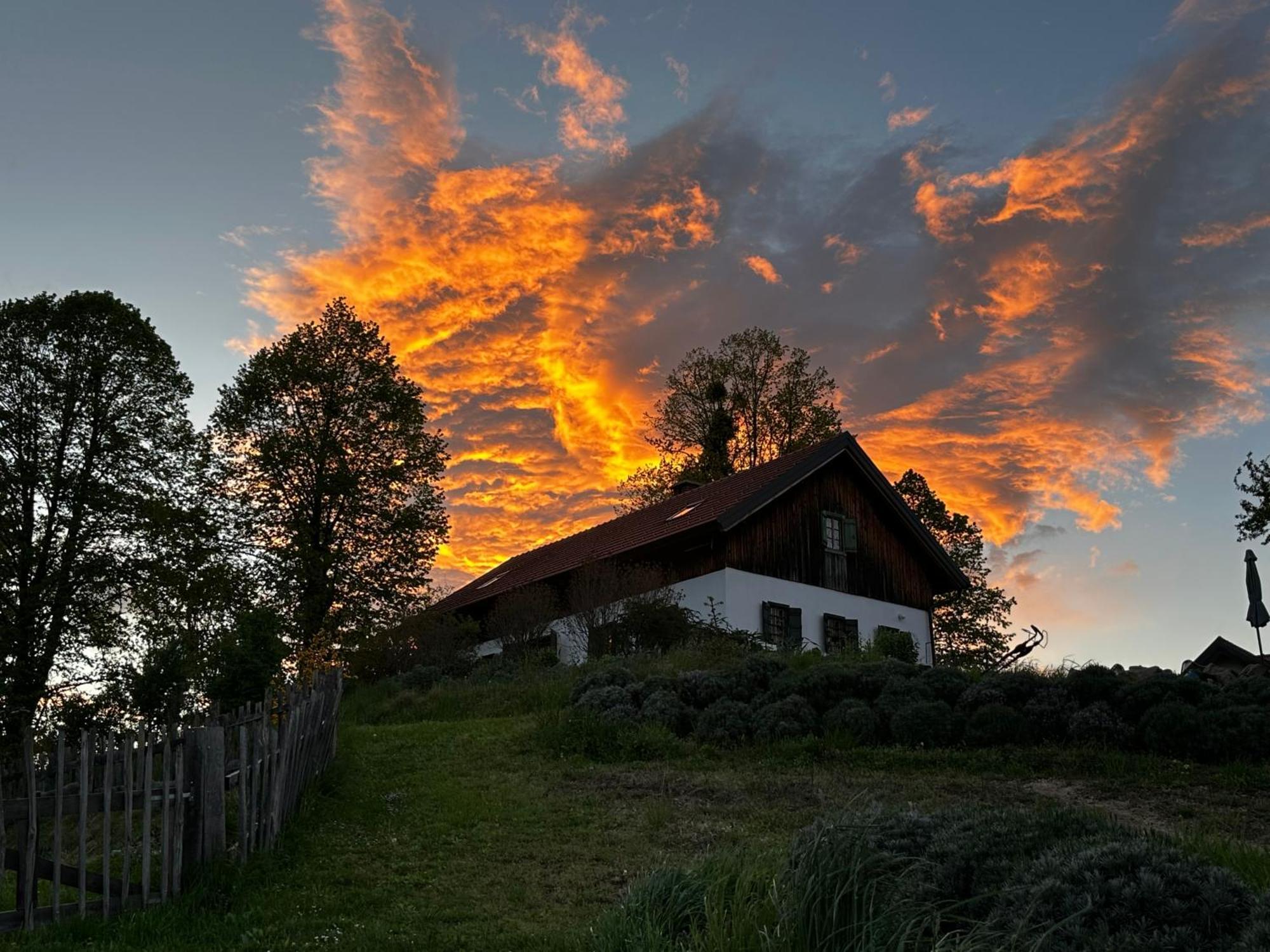 Hostal Estate Ana Ptuj Exterior foto